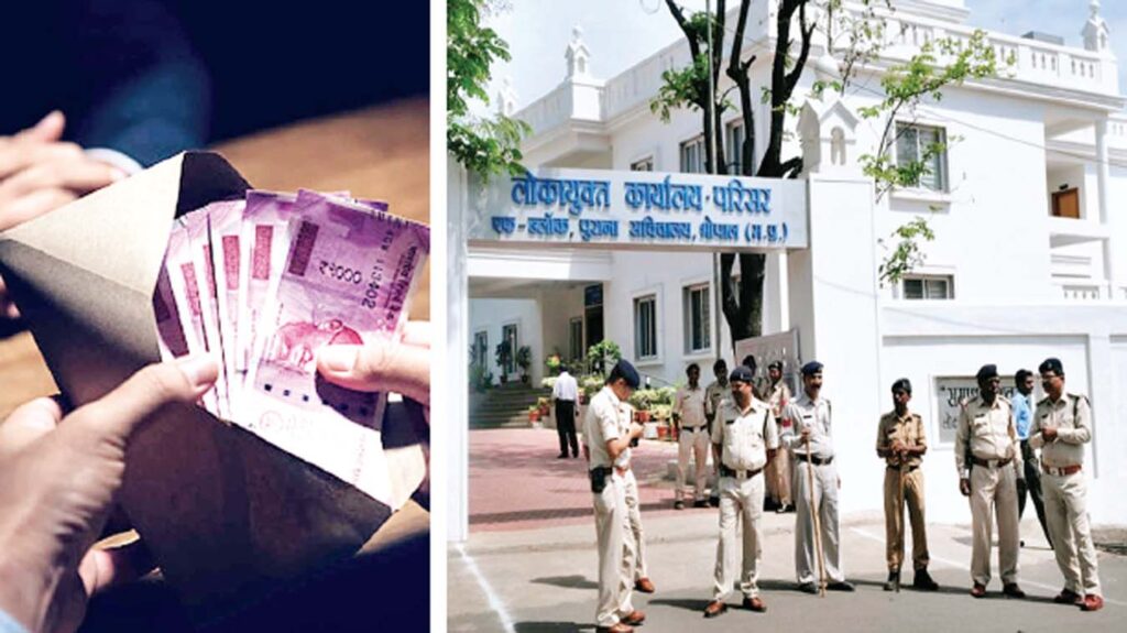 लोकायुक्त संगठन