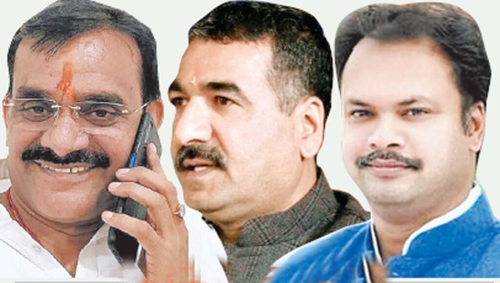 भाजपा संगठन