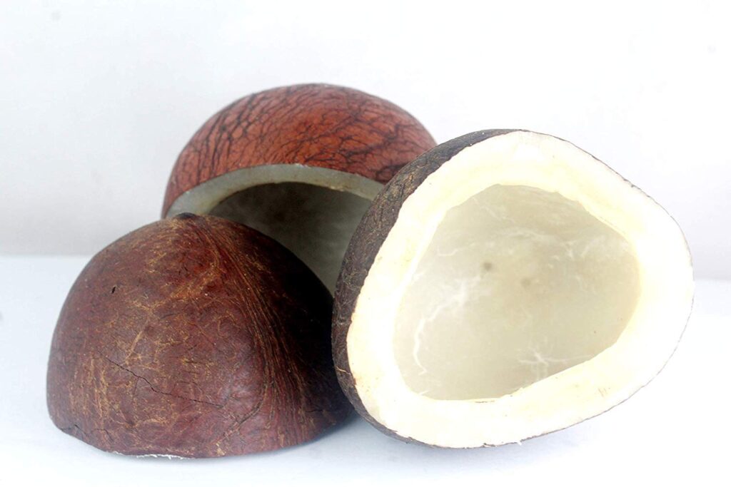 सूखा नारियल