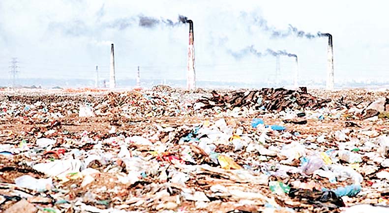 पर्यावरणीय रणनीति