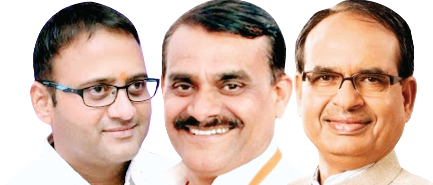 भाजपा