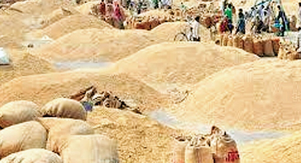  धान