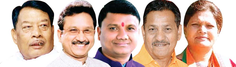 भाजपा आदिवासी