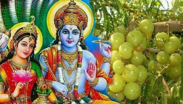 आंवला नवमी