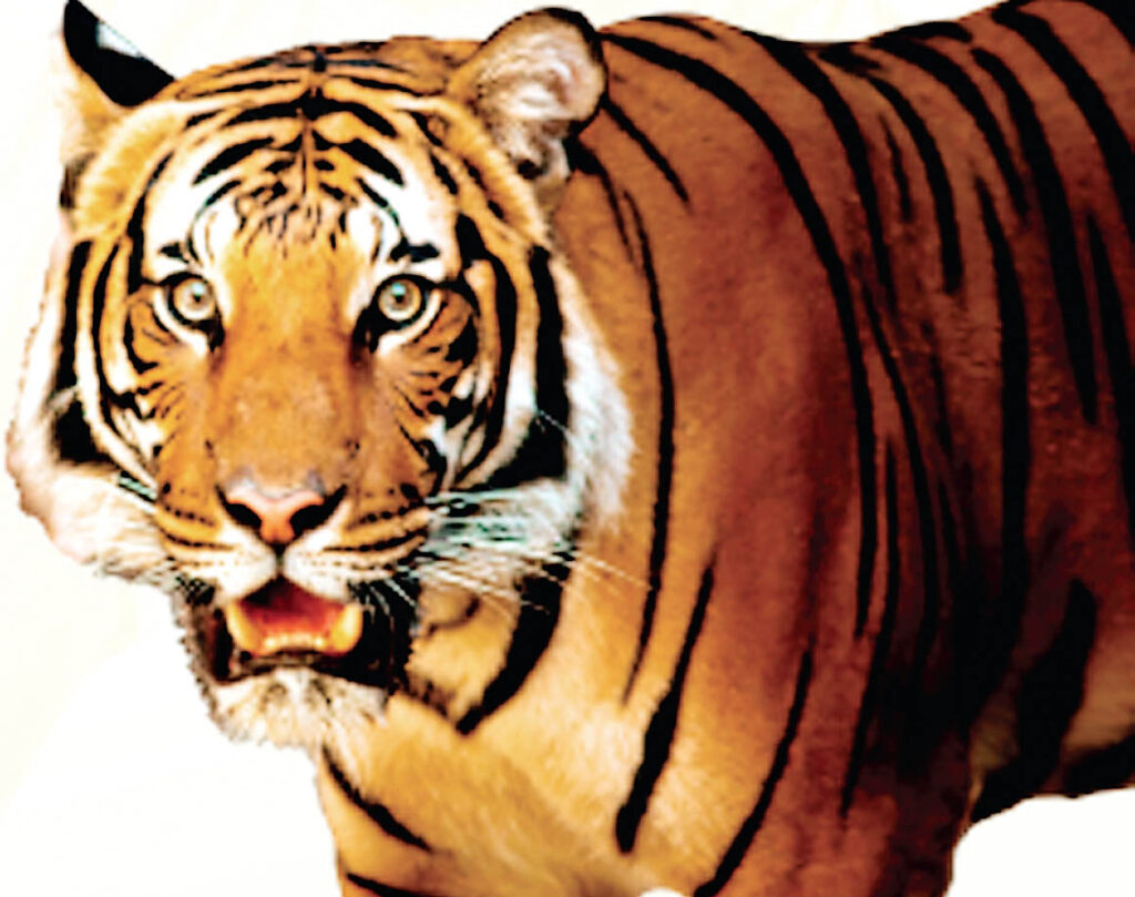 राजस्व अमला