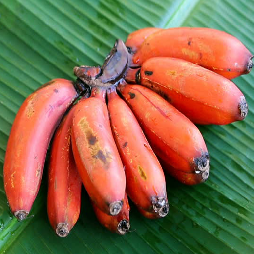 लाल केला