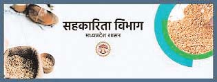निर्वाचन पदाधिकारी