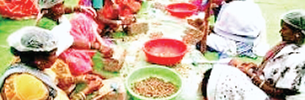 लघु वनोपज संघ