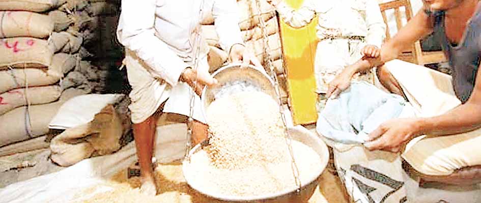 राज्य खाद्य आयोग