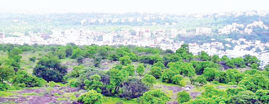भोपाल की हरियाली
