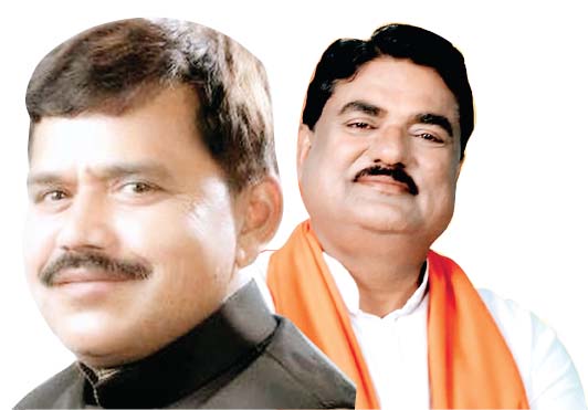 बिजली संकट