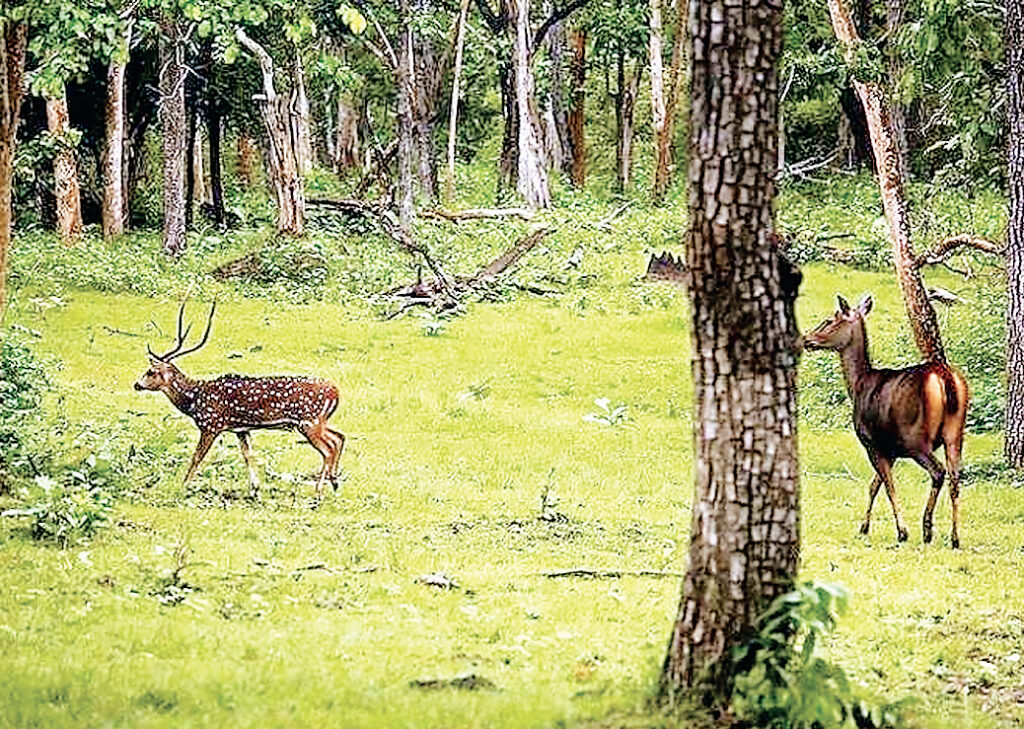 संरक्षित क्षेत्र घोषित
