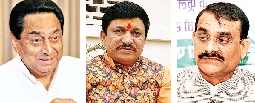 महापौर प्रत्याशी
