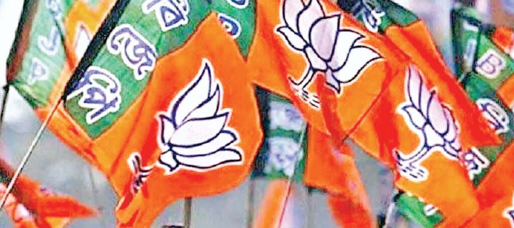 भाजपा संगठन