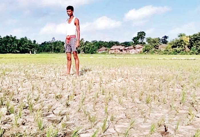 बुंदेलखंड व बघेलखंड