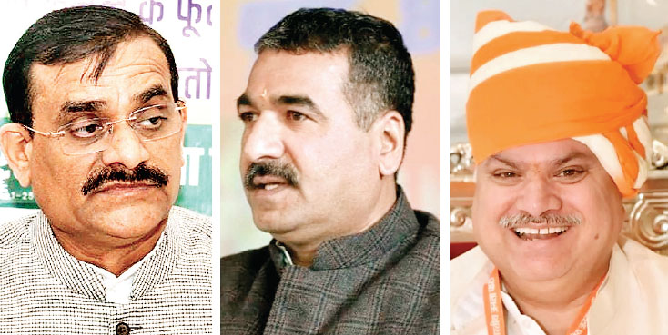 भाजपा संगठन
