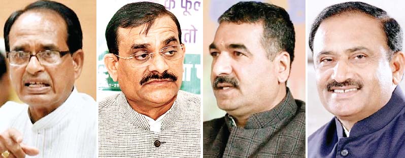प्रदेश संगठन