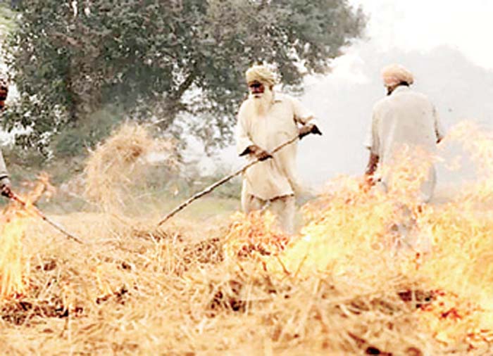 पराली जलाने
