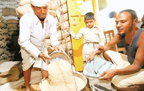 राज्य भंडार गृह निगम