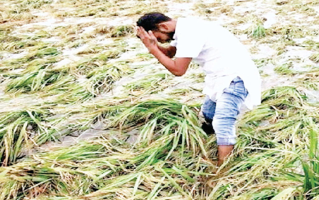 मानसून