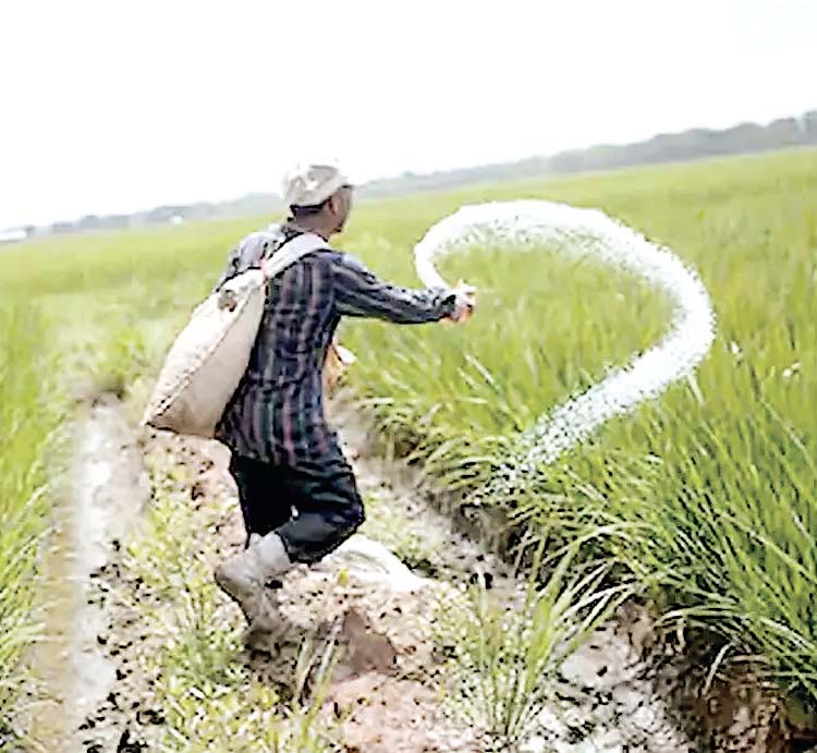 खाद