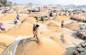 खाद्य आपूर्ति निगम