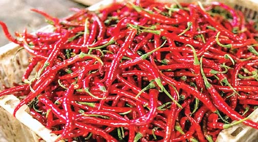 लाल मिर्च