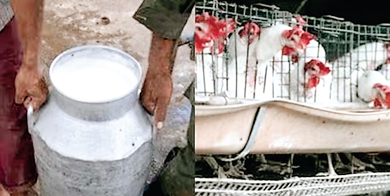 पाकिस्तान
