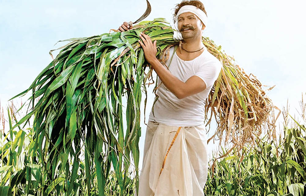 फसल बीमा