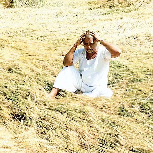 बारिश-ओलावृष्टि