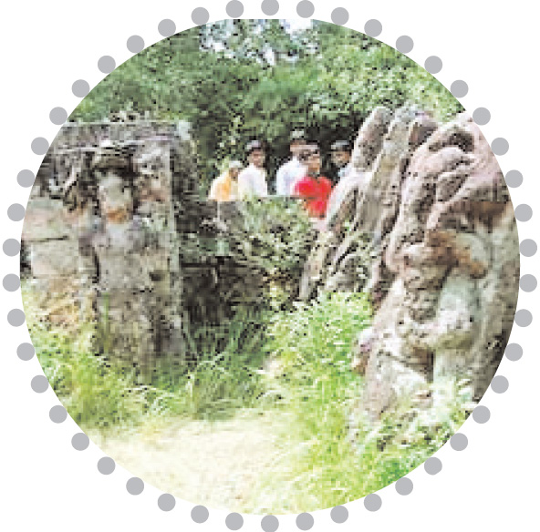 बांधवगढ़ नेशनल पार्क