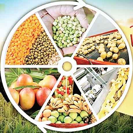 सूक्ष्म खाद्य उद्यम