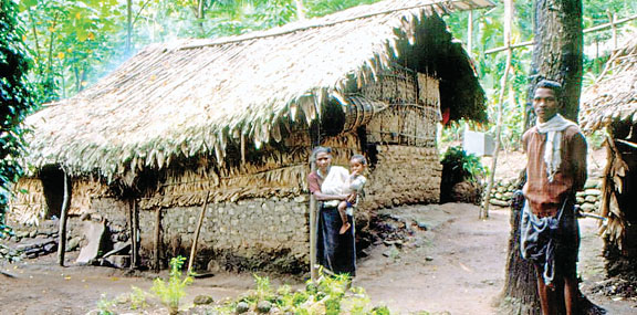 वन ग्राम