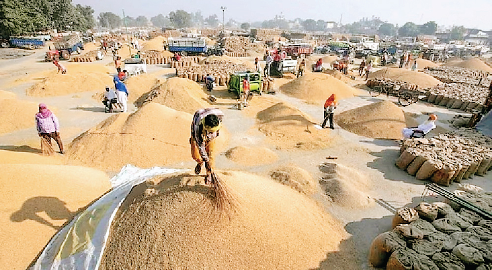 अन्नदाता