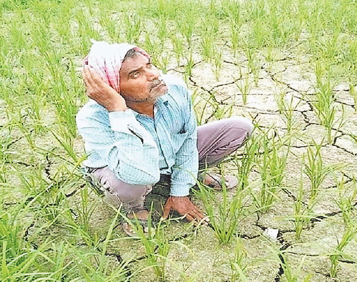 मौसम की जानकारियां