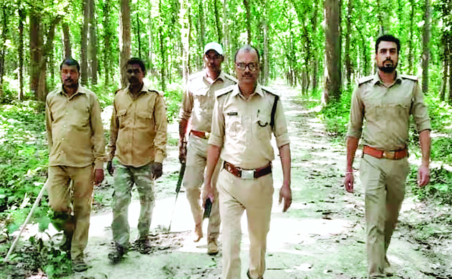 वन कर्मियों