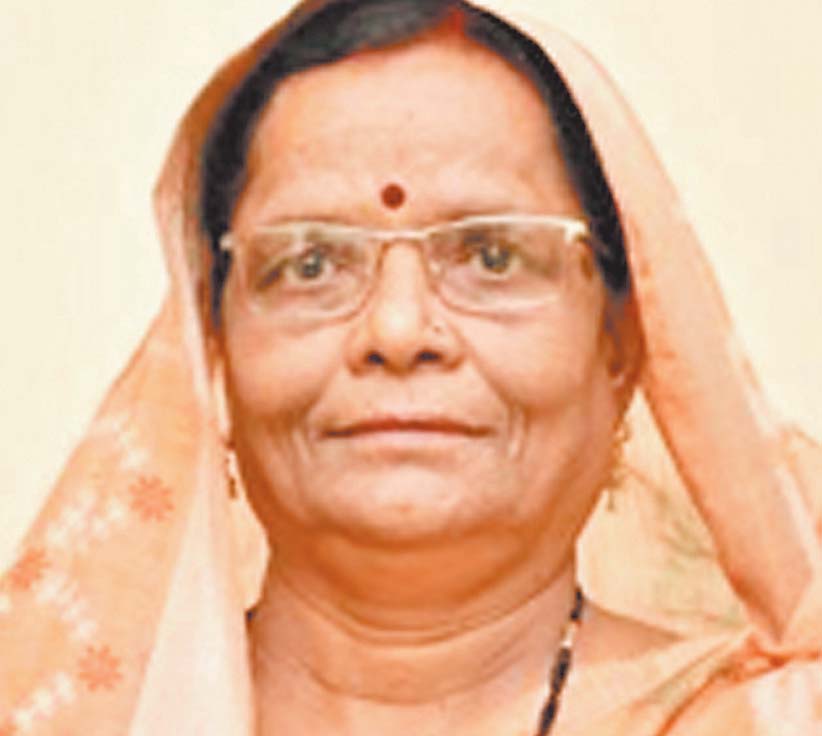 विकास कामों