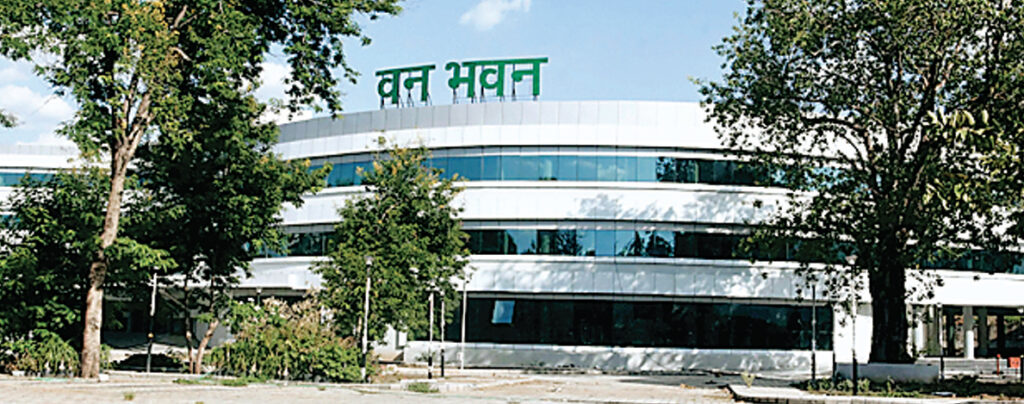 आईएफएस कैडर