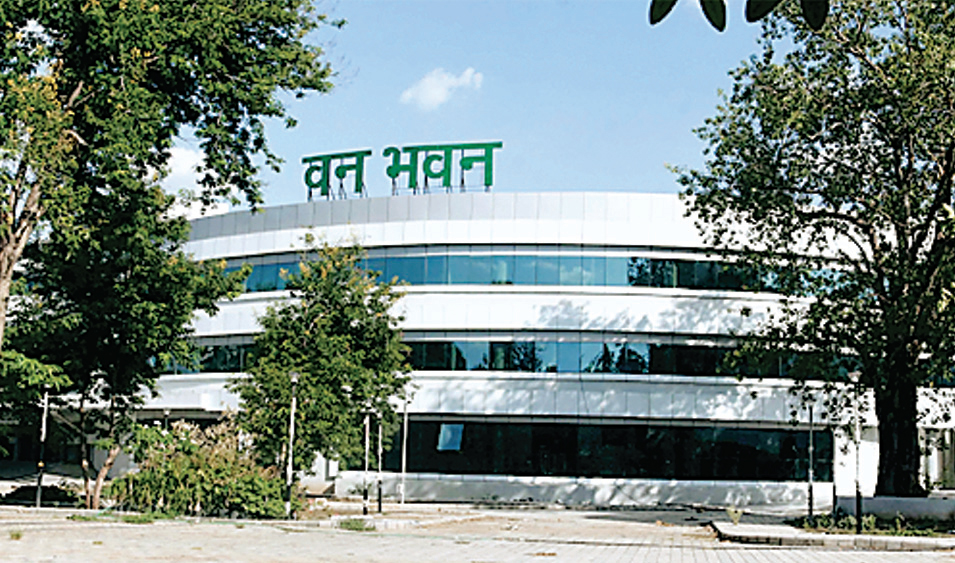 सीएफ और एसडीओ
