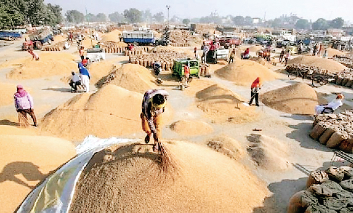 गेहूं खरीदी