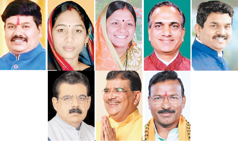 मालवा-निमाड़ 