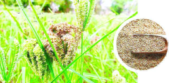 मार्केटिंग व ब्रांडिंग