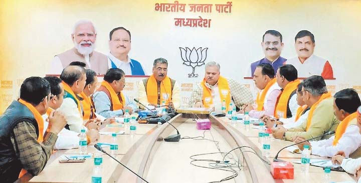 भाजपा के विस्तारकों