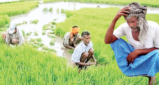अन्नदाताओं