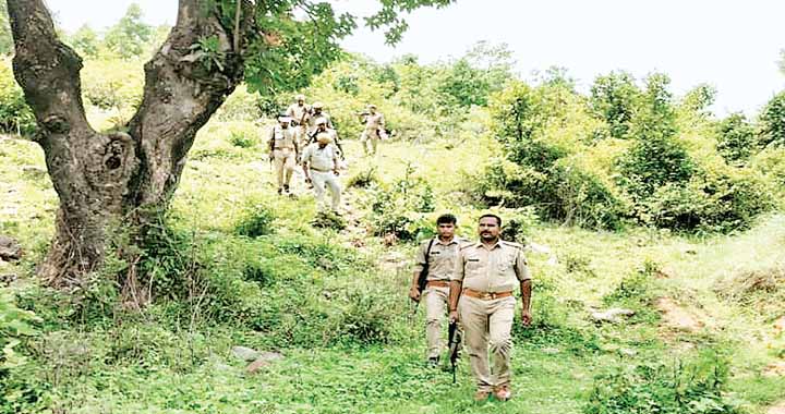 वन अफसरों