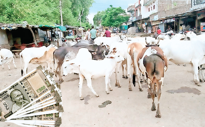 गौपालन