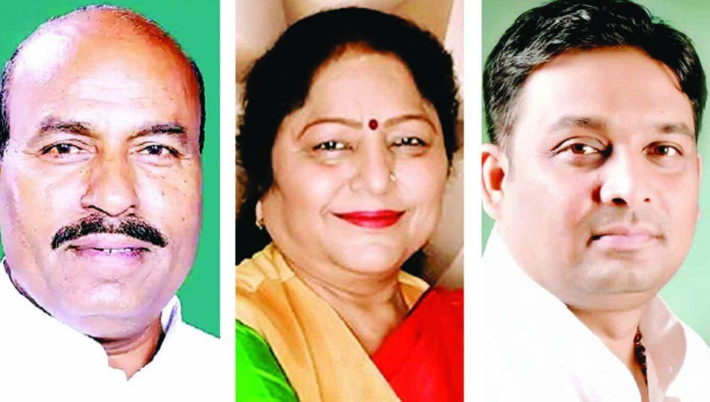 सांसद प्रतिनिधि