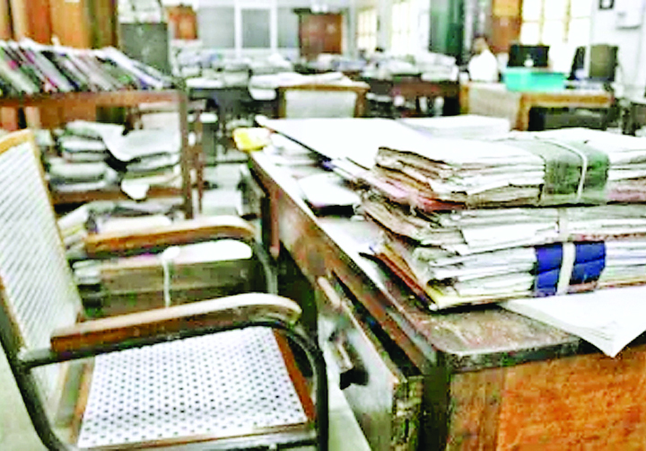 उद्यानिकी विभाग
