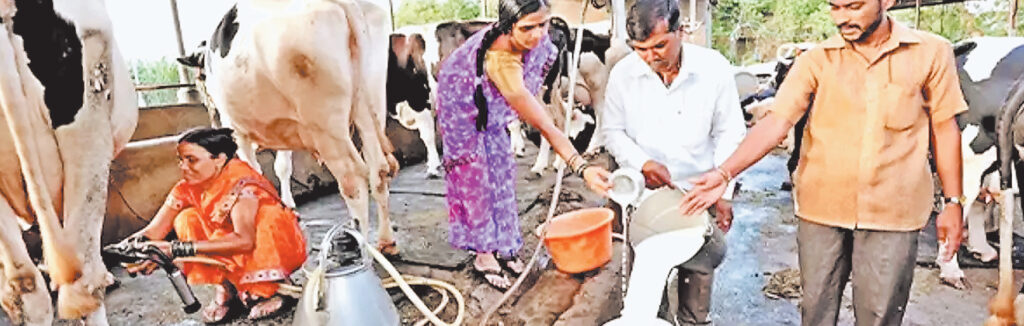 दुग्ध उत्पादकों
