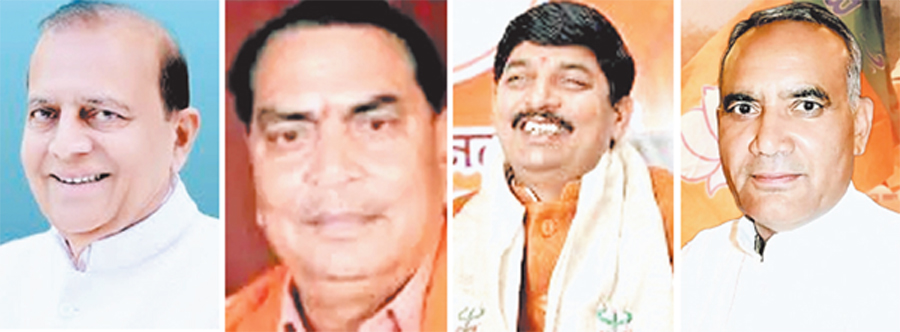 विधानसभा